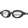 Arena Cruiser Evo Goggles clear/black/black
